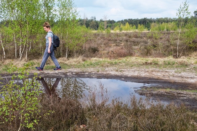 vrouw wandelt langs een waterplas op de Peelse Heide.