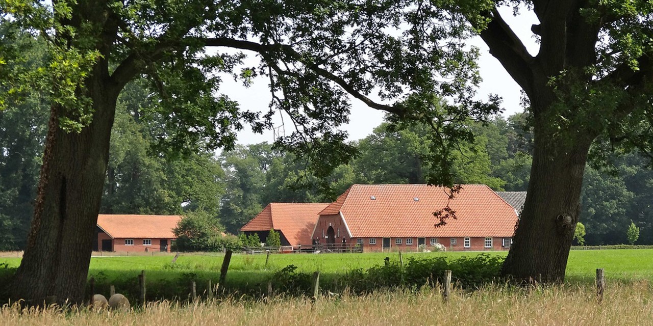 afbeelding van boerderijen en akkers in Twickel.