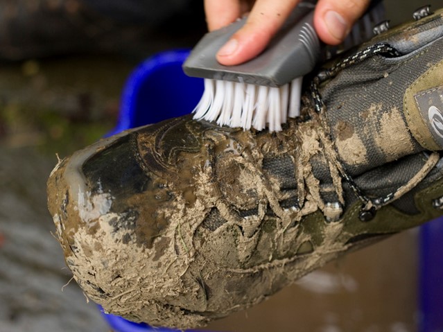 afbeelding van een modderige wandelschoen die wordt schoongeborsteld.