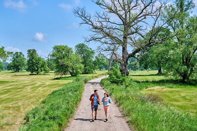 wandelaars in de natuur in Biosfeerreservaat Midden-Elbe.