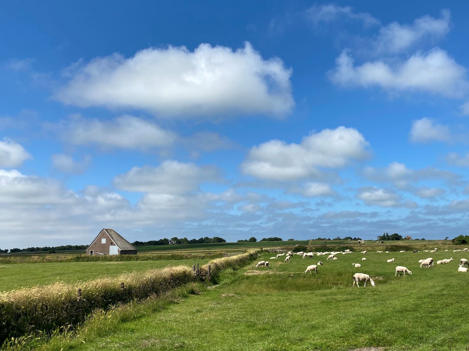 Wandelroute Texel Cultuurhistorie Op De Hoge Berg