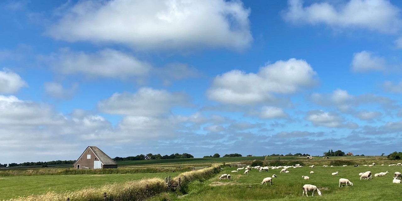 Wandelroute Texel Cultuurhistorie Op De Hoge Berg