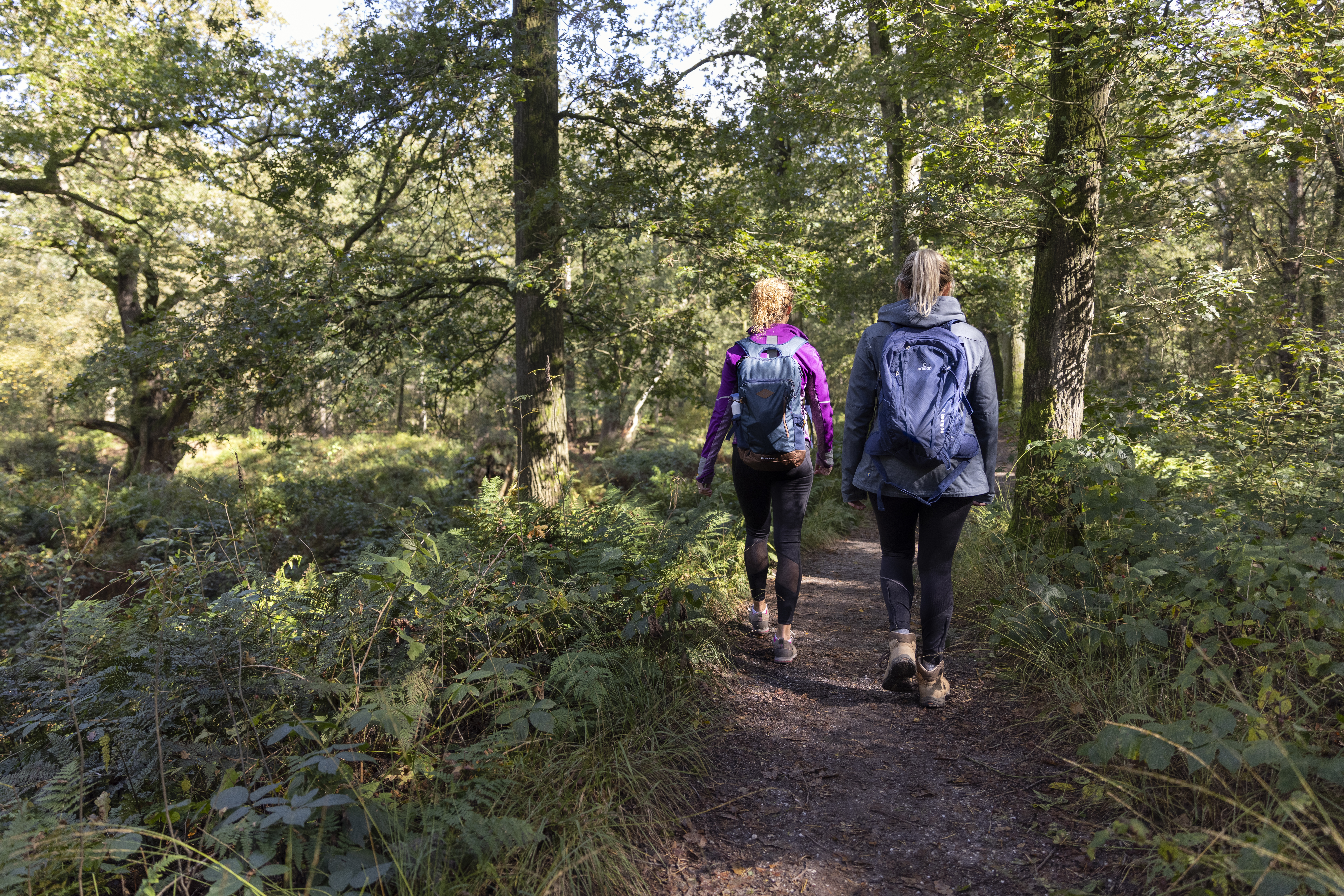 Foto KWbN Herfst, twee wandelaars lopen door een herfstig bos