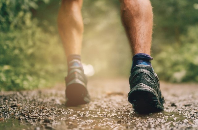 Wandelen in het bos - Foto: Shutterstock