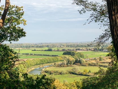 uitzicht op groen rivierenlandschap van de ooijpolder.