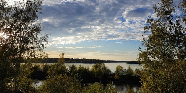 Wandelen Langs Het Water 10 Tips Wandelroute Nationaal Park De Maasduinen Reindersmeer