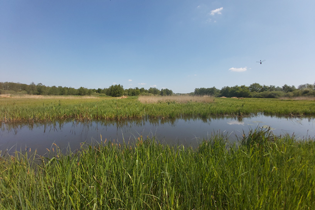 Wandelroute Weerribben Wieden Rietwandeling Nederland