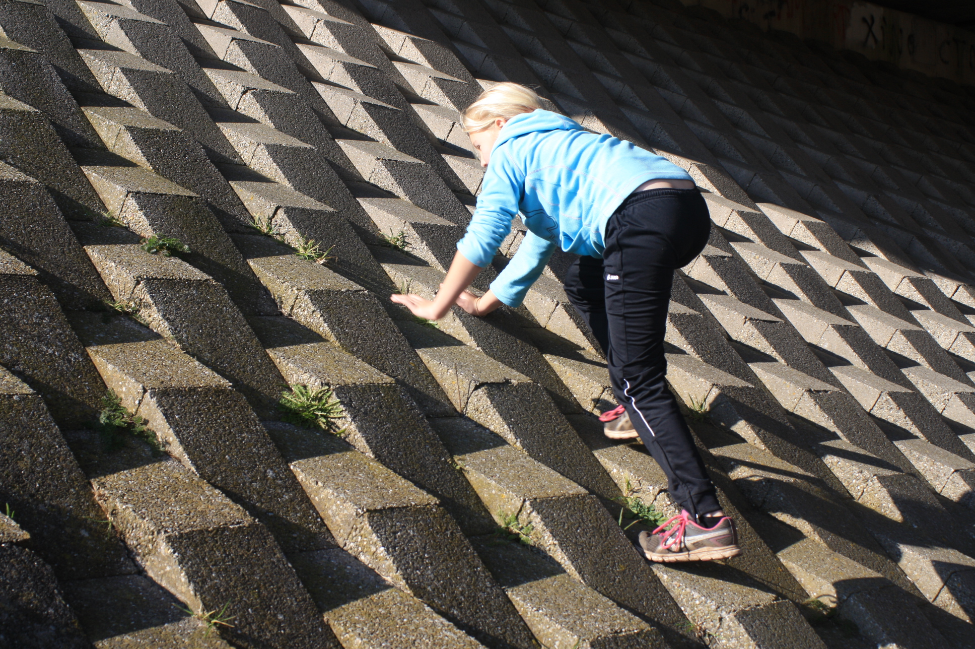 Header Woldberg Steenwijk (NS Route)