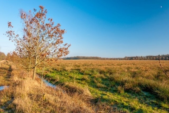 7 Mooie Blotevoetenpaden Blotevoetenpad Drents Friese Wold