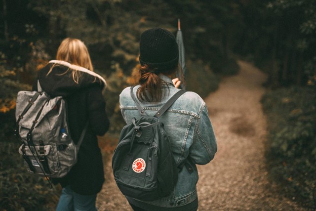 Tien Dingen Die Je Niet Tegen Een Wandelaar Moet Zeggen: Wandelen bos