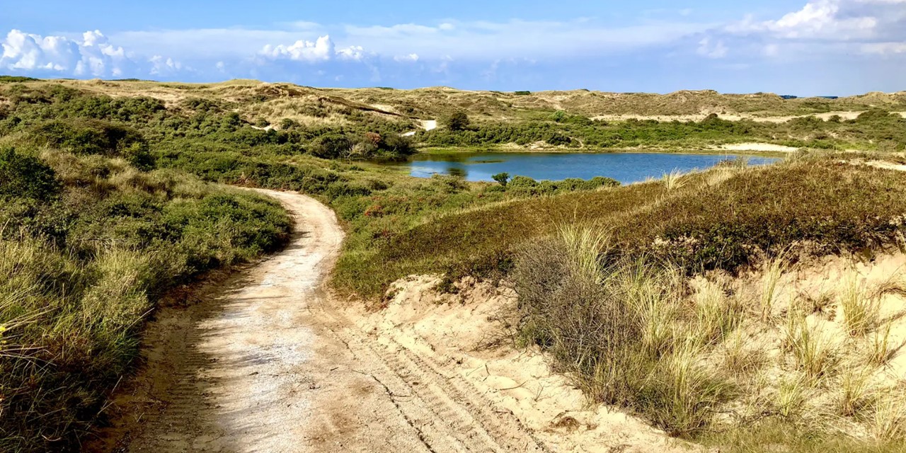 Boswachterspad Zuid Holland Berkheide