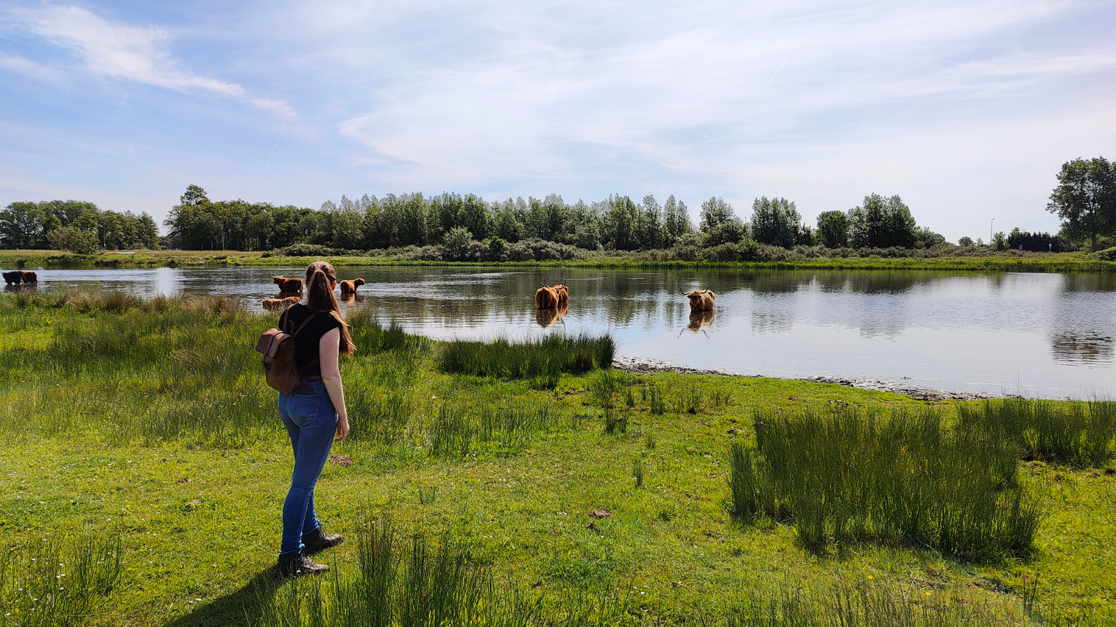 Wandelroute NP Hollandse Duinen: Lentevreugd, Wassenaar (Foto: © Kelsey Obdeijn, Wereldwijd Wandelen)