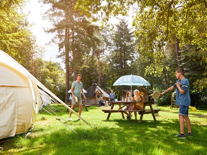 RCN De Jagerstee Vakantiepark Veluwe Glampingtent De Egel