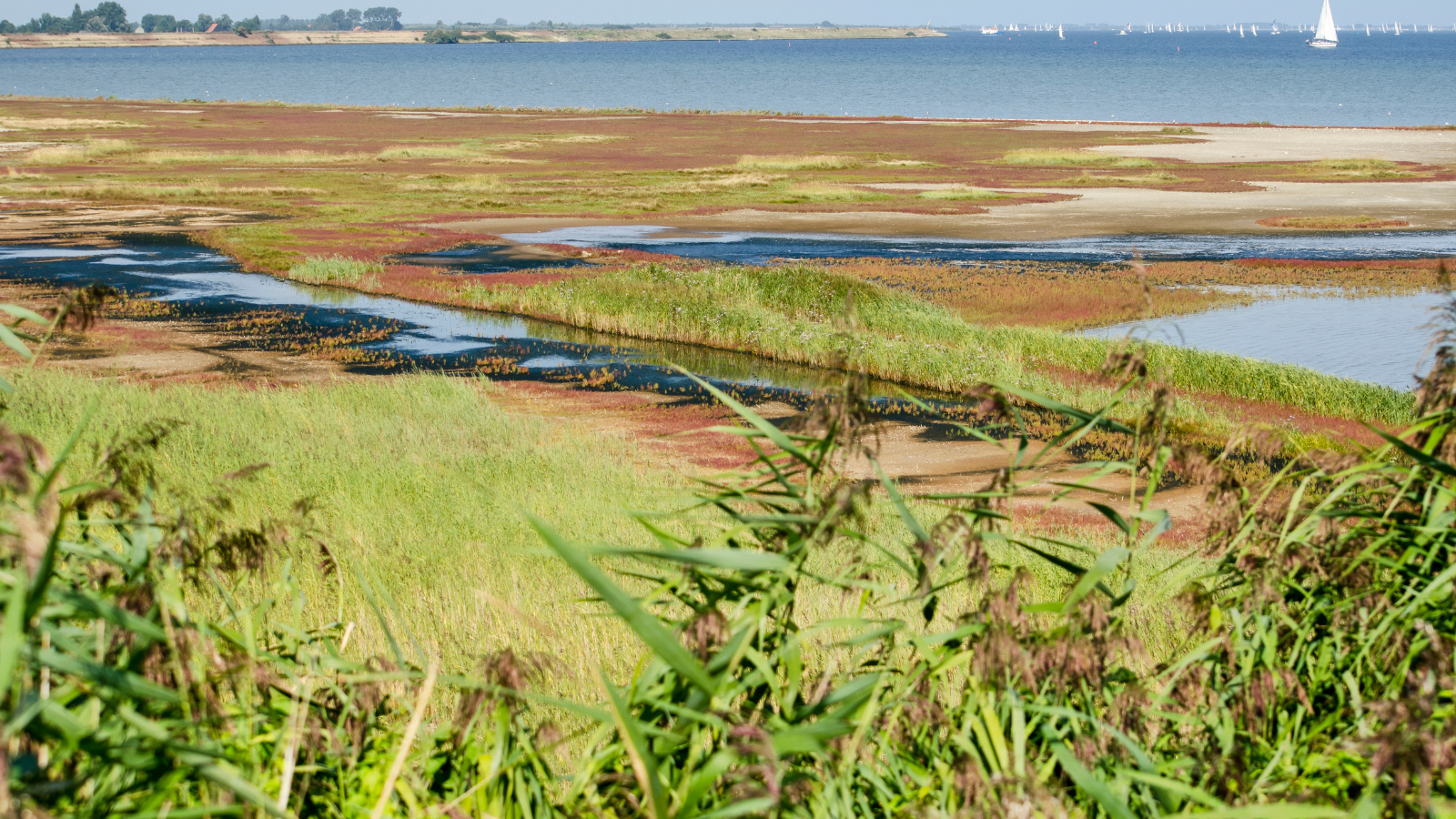 Wandelroute Goeree Overflakkee Blauwborst Groote Gat