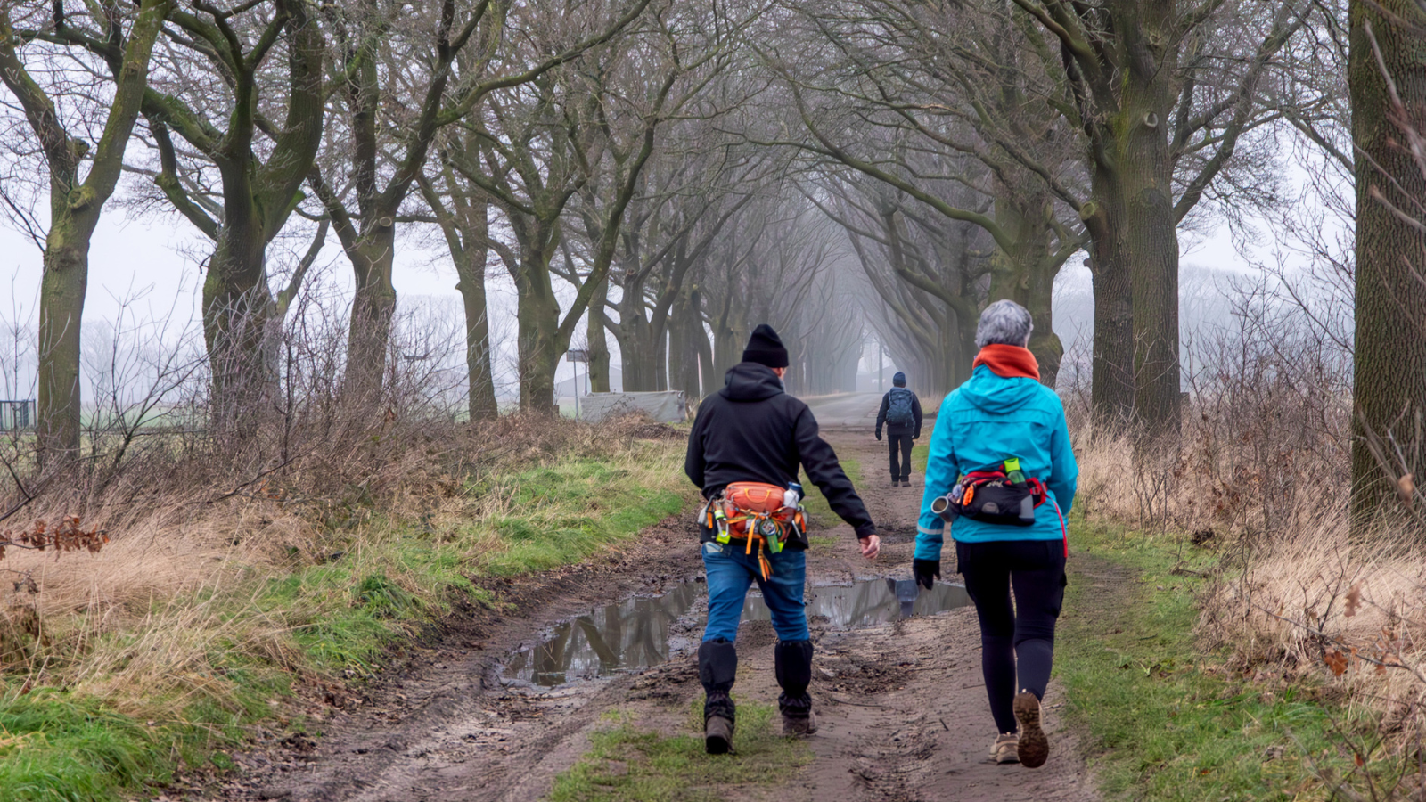 Parkwandeling Noord Brabant Rondje Genderpark (1)