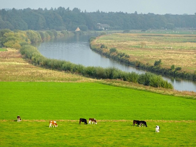 Vechtdal bij Dalfsen