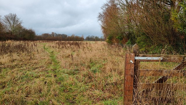 afbeelding van een hekje en een struinpad over het boerenland.