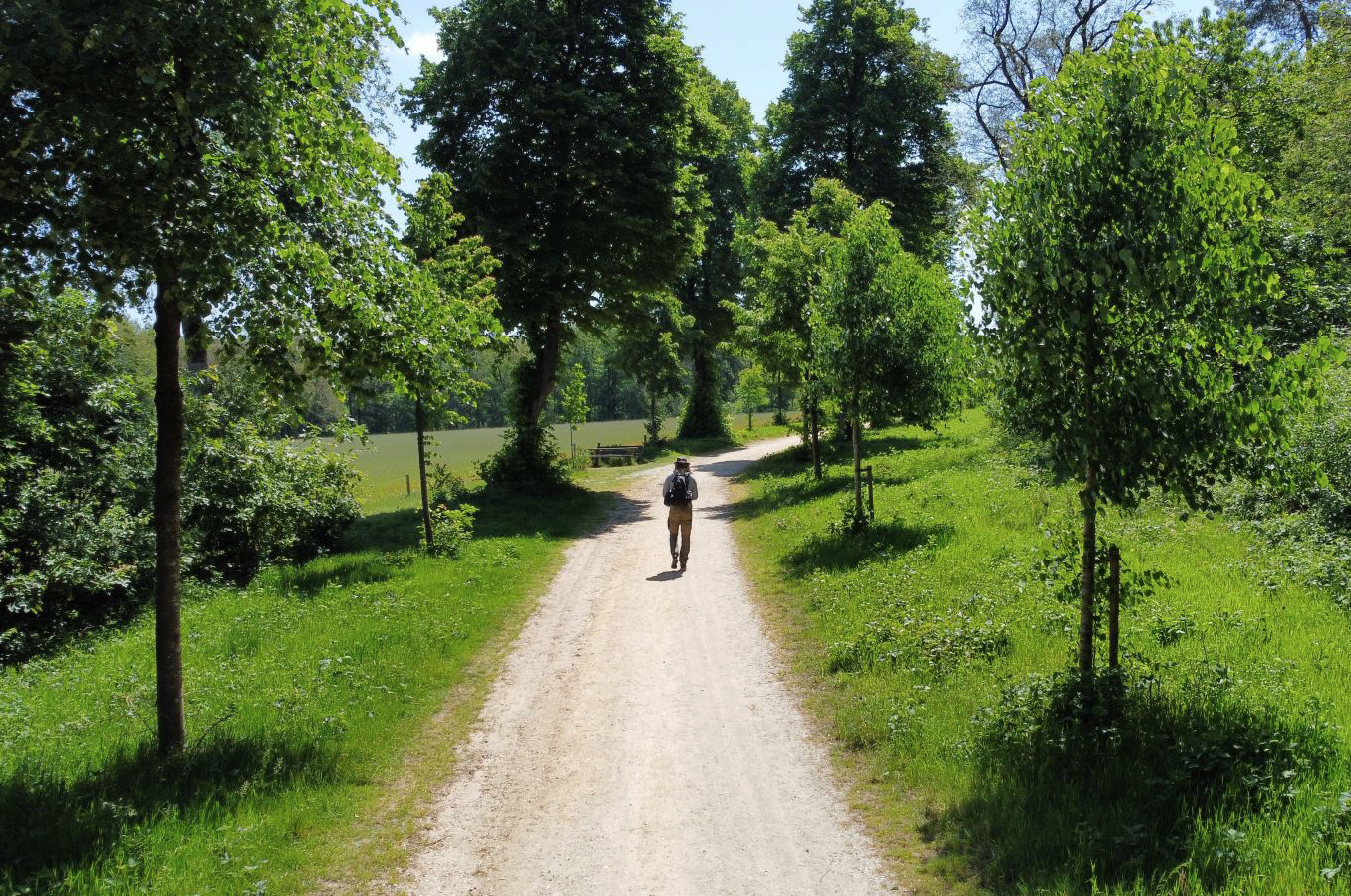 Proeflopen Zevenheuvelenhike