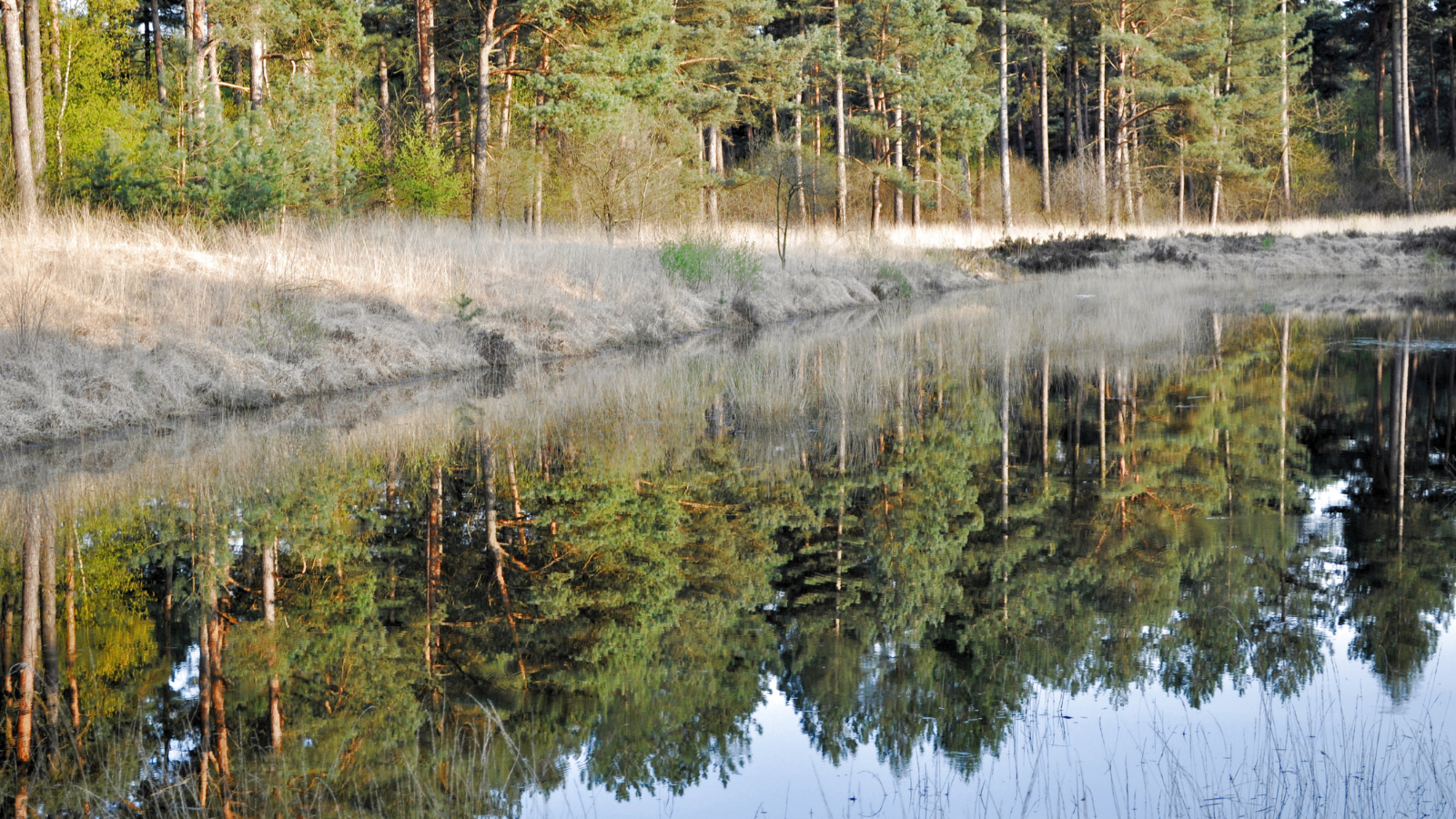 Dit zijn de hoogtepunten van het Grenslandpad (LAW 11)