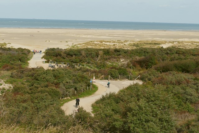 afbeelding van het strand van Renesse
