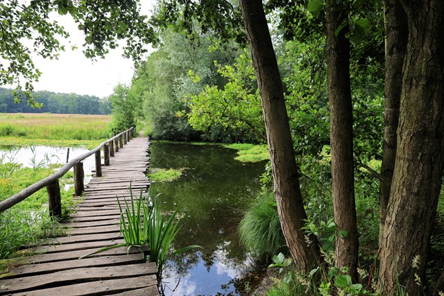afbeelding van een vlonderpad over het Wildertven.