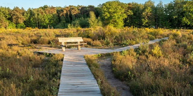 Wandelroutes In Noord Brabant Baronie Van Breda