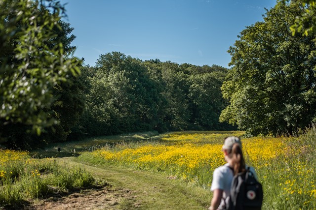 Passerellewandeling Riemst