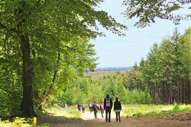 wandelaars in heuvelachtige bossen op de Utrechtse heuvelrug.