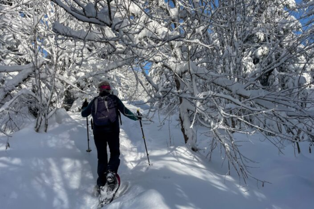 Winterwandelreis Duitsland Zwarte Woud Korte Samenvatting Natuurgebied
