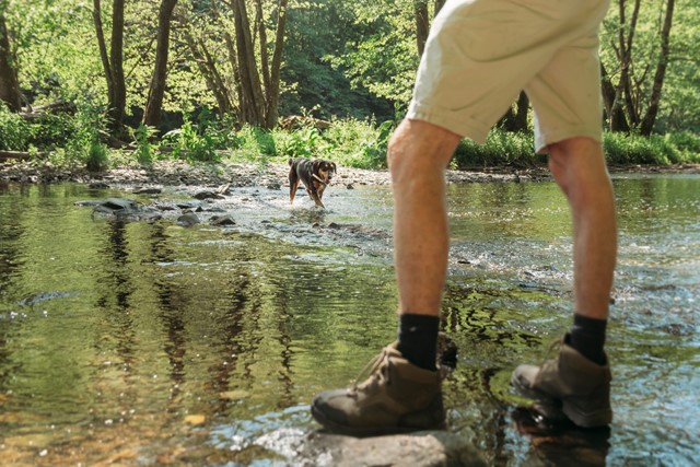 langs de oevers van de Our-rivier