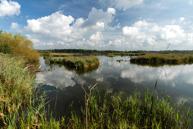 Wandelroute Belgie, Belgisch Limburg Kempenbroek Langs De Levensader Van Het Gebied