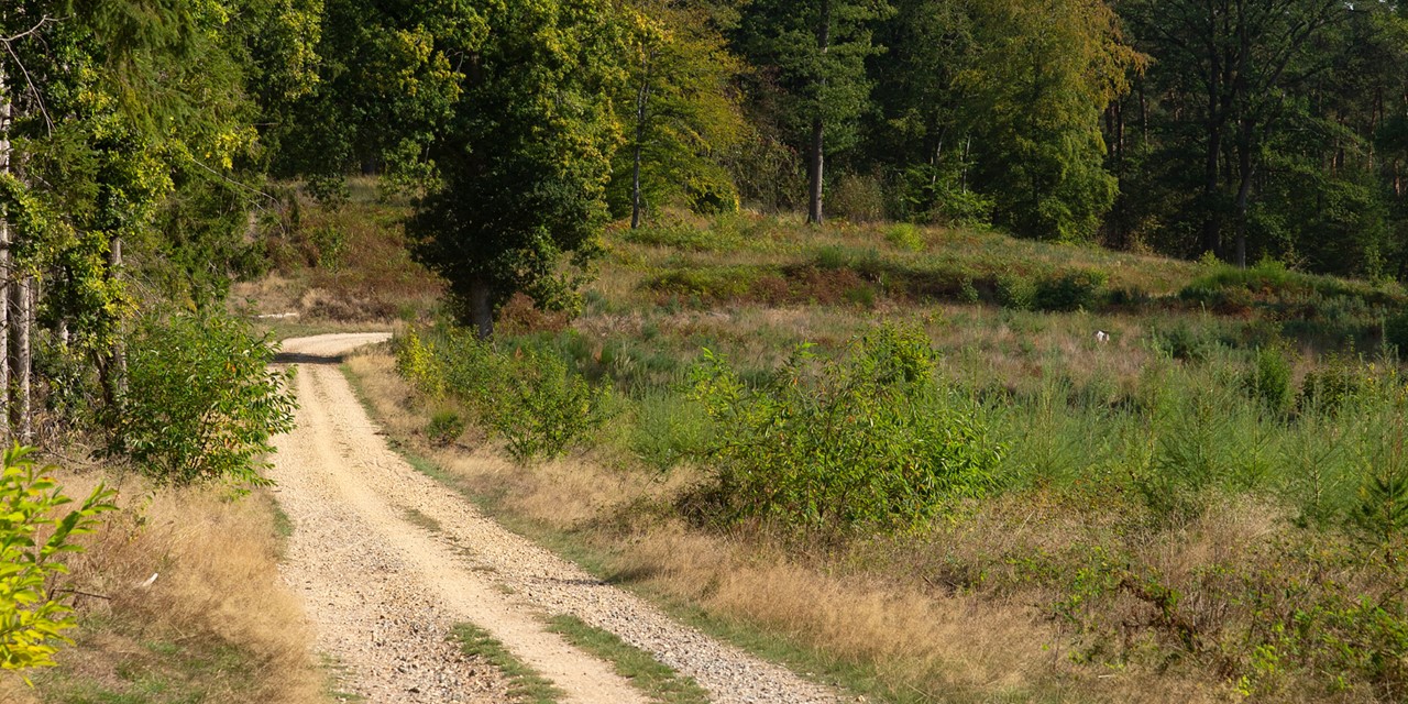 Wandelroute Nationaal Park De Meinweg Meinvennen