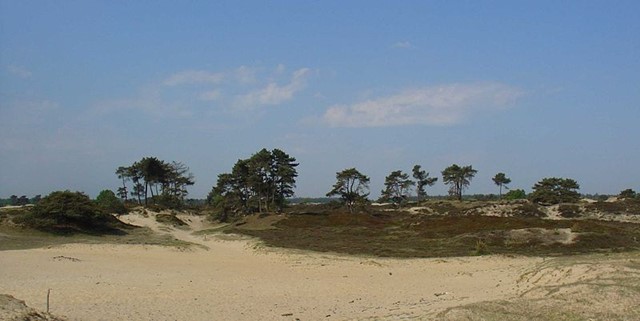 Gouwenaar