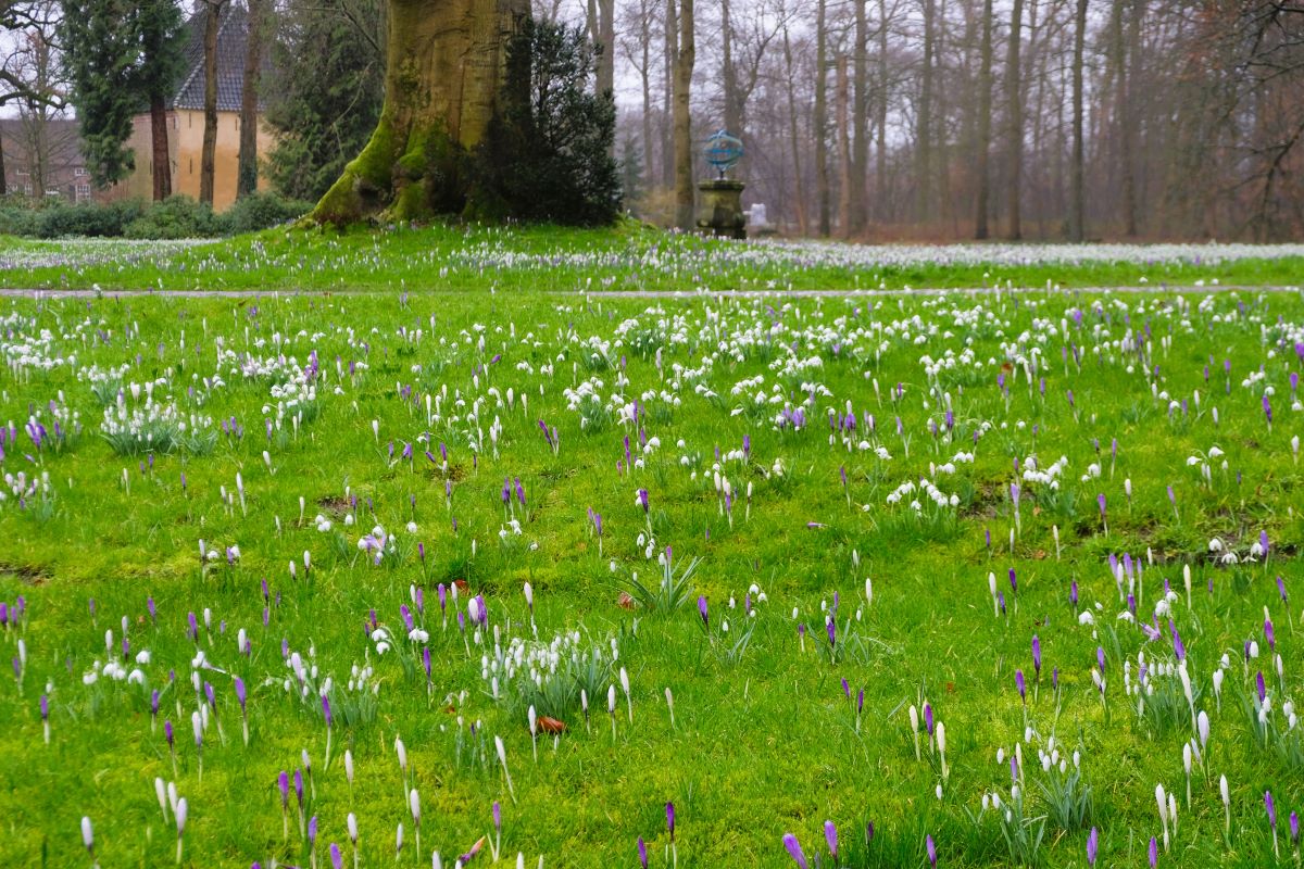 Wandelroute Landgoed Hackfort Tichelmanroute; Grasveld Hackfort
