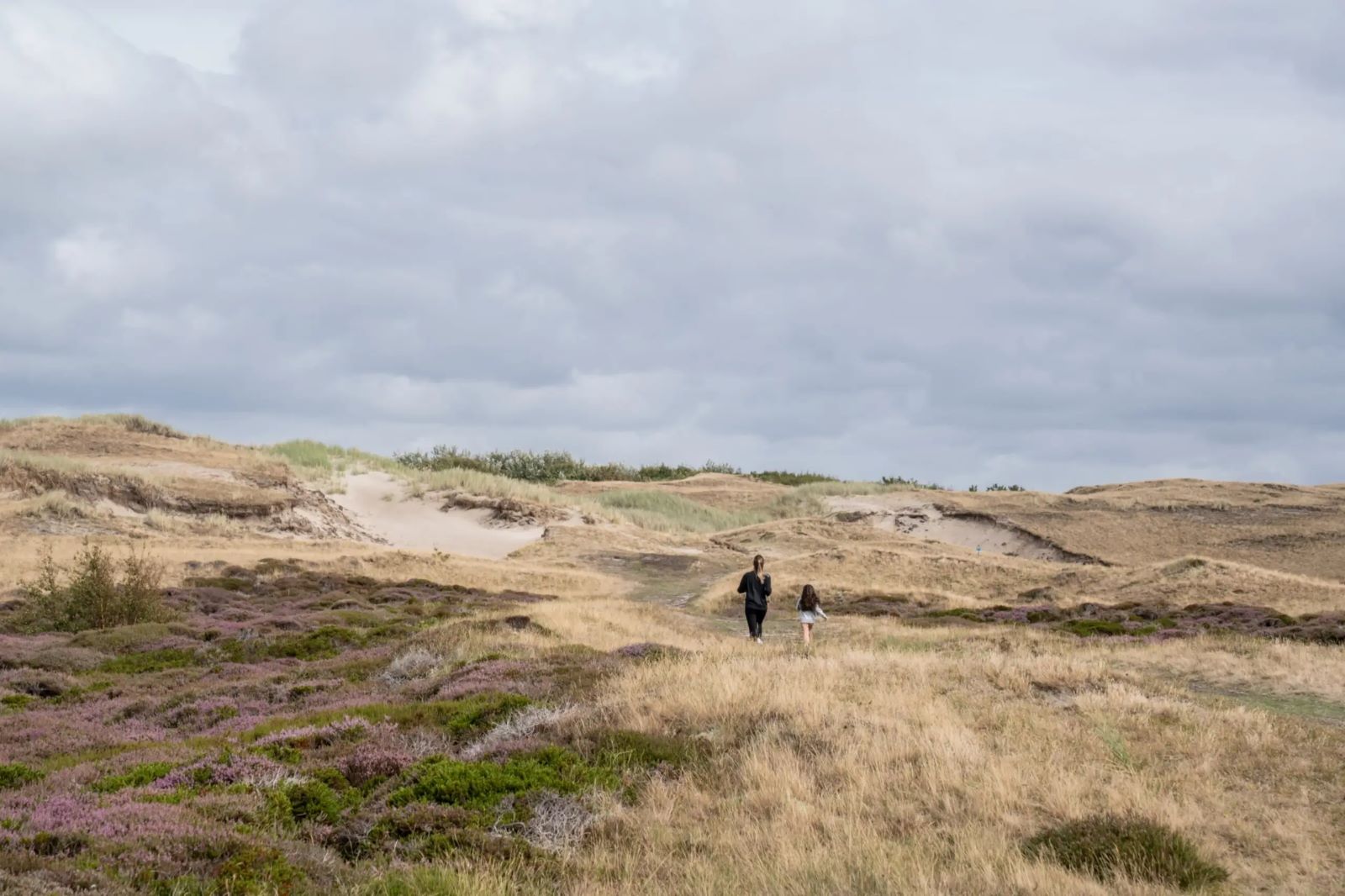 Wandelroute Texel Rondje Den Hoorn; Duinen Texel