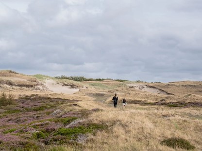 Wandelroute Texel Rondje Den Hoorn; Duinen Texel