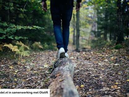 Wandelaar op boomstam