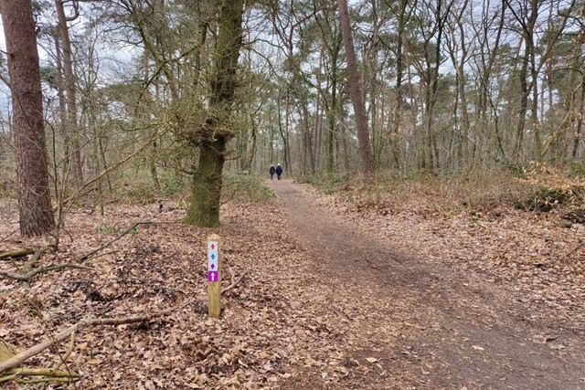 Noaberpad Twente LAW 10 Overijssel