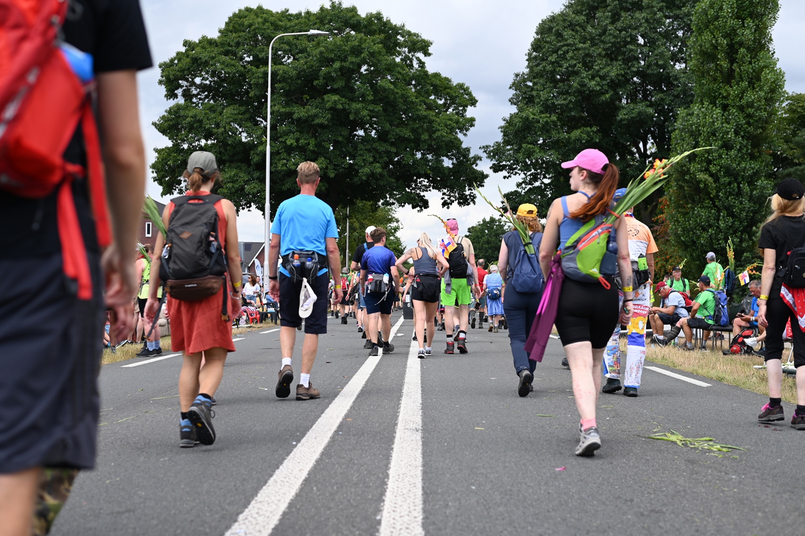 Wandelaars tijdens de 4Daagse in Malden.