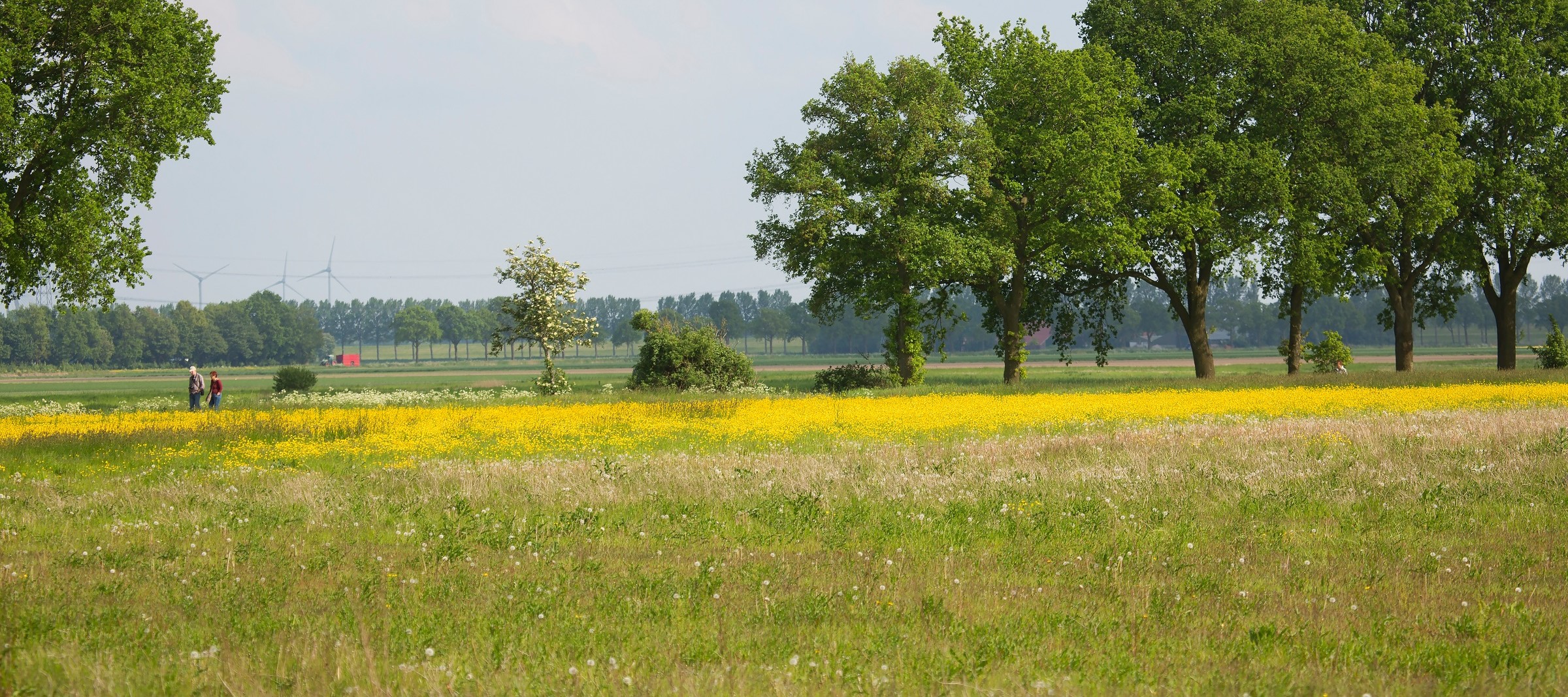 Werelderfgoed Schokland
