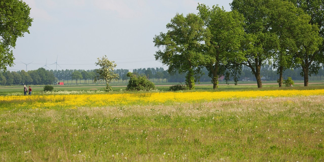 Werelderfgoed Schokland