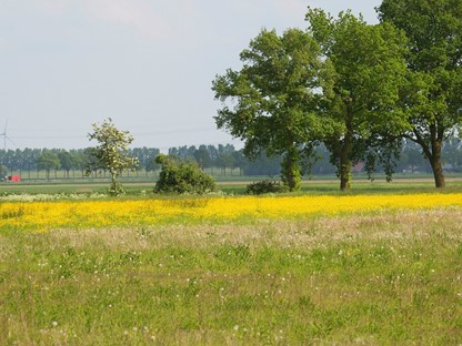 Werelderfgoed Schokland