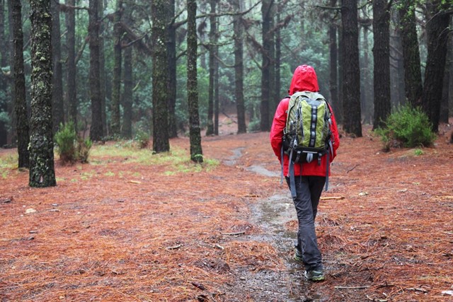 Dit is jullie favoriete wandelruitrusting; regenjas.