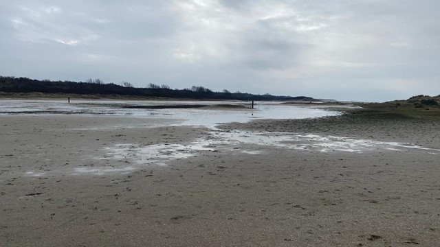 Strand wandeling in Oostvoorne Vlak voordat winter arriveert