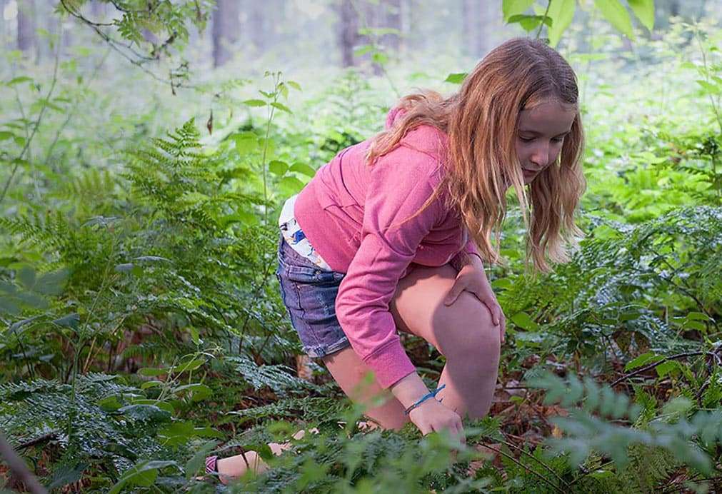 Header | Gezinswandelingen in Brabant met app Vossenstreken