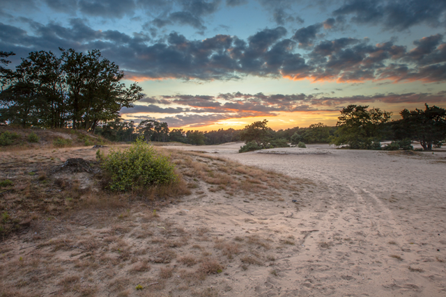 Dit Zijn De Mooiste Duinwandelingen Van Nederland Helderse Duinen
