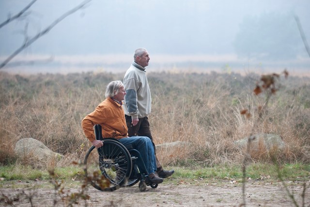 afbeelding van 2 wandelaars op het Westerborkpad.