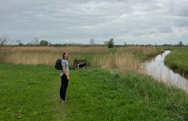Afbeelding landschap Doezum