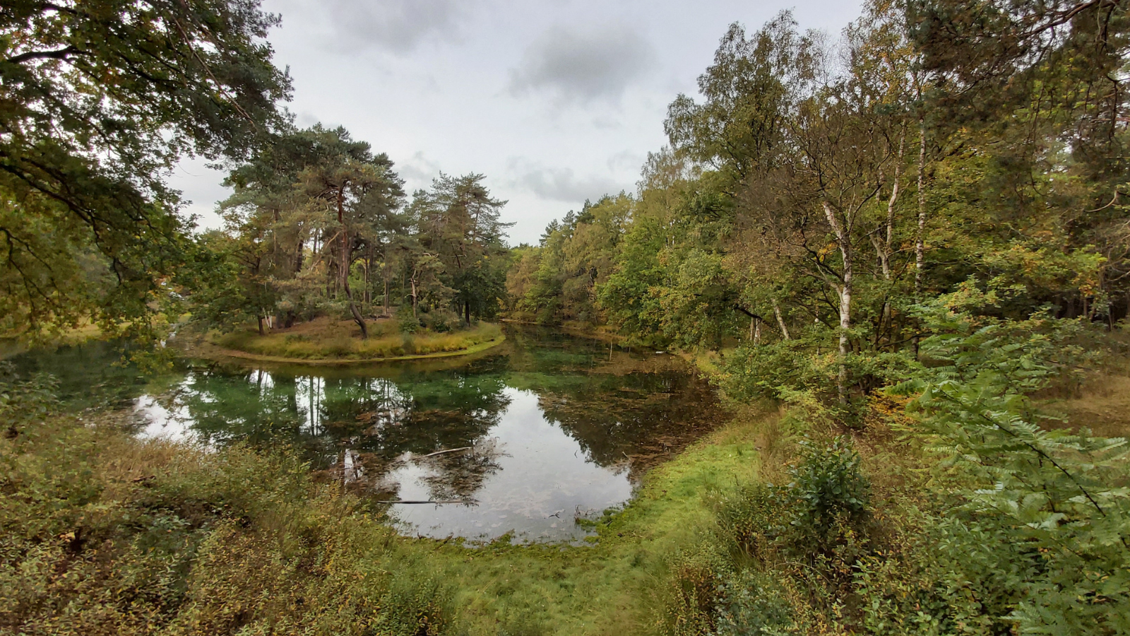 Wandelroute Bornia Heidestein Heide, Stuifzand