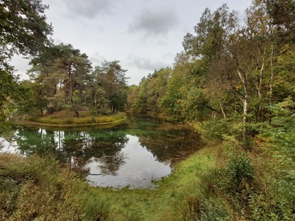 Wandelroute Bornia Heidestein Heide, Stuifzand